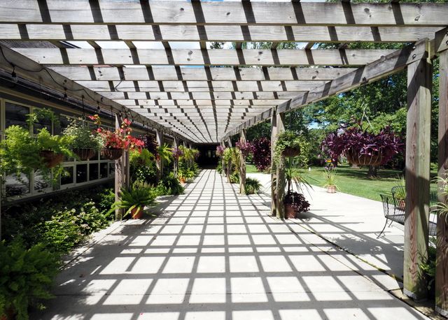 pergola na zahradě