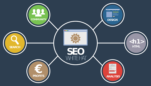 SEO pro weby